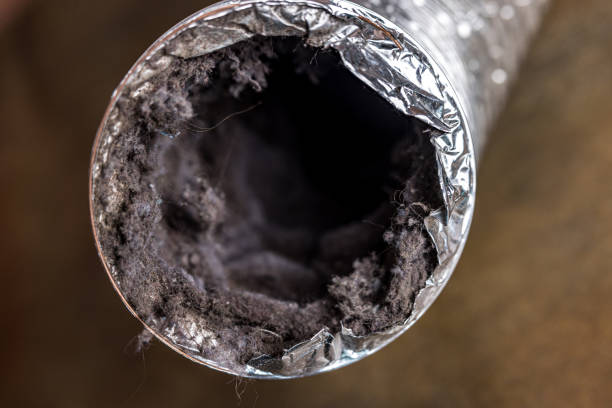 Best Air Duct Cleaning Near Me  in Lanai City, HI